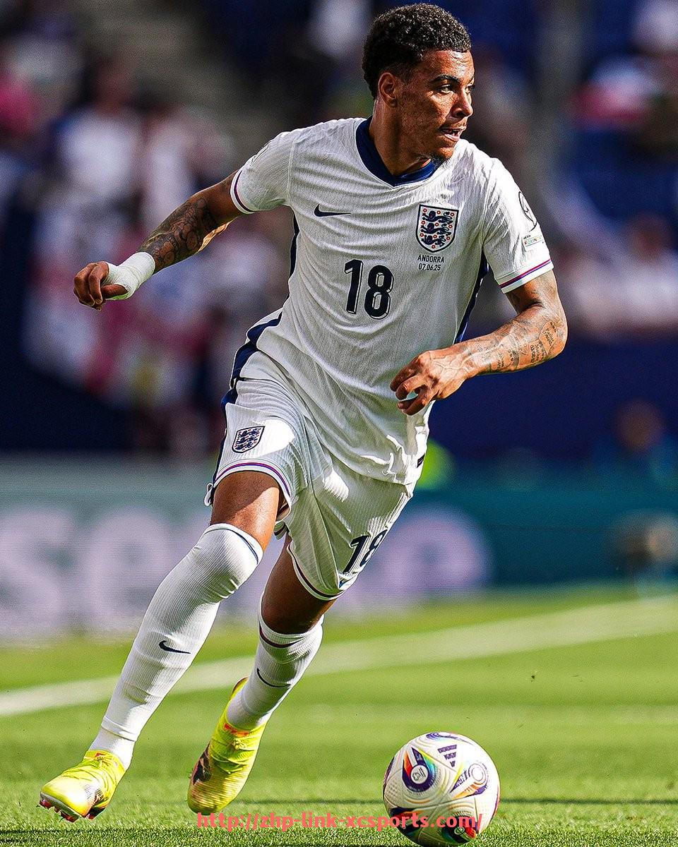 杏彩体育-英超球员实际收入揭秘及薪资构成详解