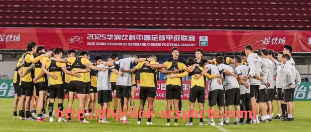 杏彩体育-法甲赛季回顾数据特辑：从数据看起伏与爆冷