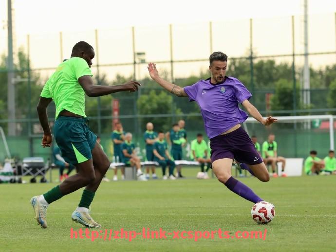 杏彩体育-本赛季意甲降级球队完整名单与成绩分析